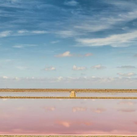 Charmant Studio Au Coeur Des Marais Salants Arles Dış mekan fotoğraf