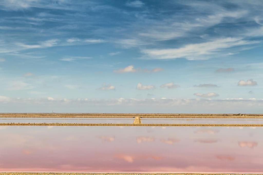 Charmant Studio Au Coeur Des Marais Salants Arles Dış mekan fotoğraf